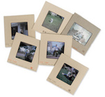 album Photos - photos -  Numérisation Diapositives